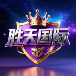 盛天国际